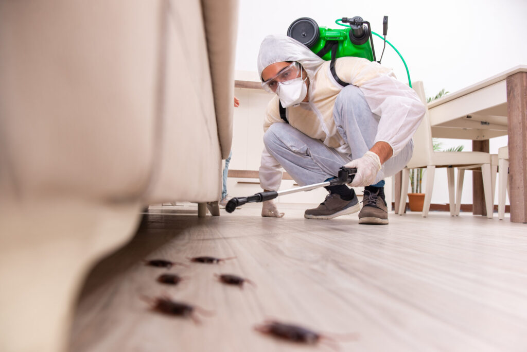 The Benefits of Professional Pest Control
