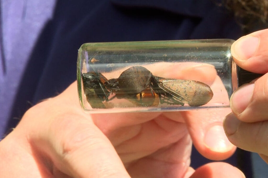 Are You in a High Pest Risk Zone? Indianapolis Hotspots to Watch